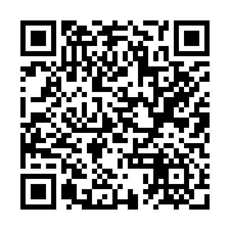 QR code for ZPL917