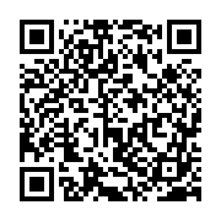 QR code for ZPN863
