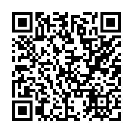 QR code for ZPP868