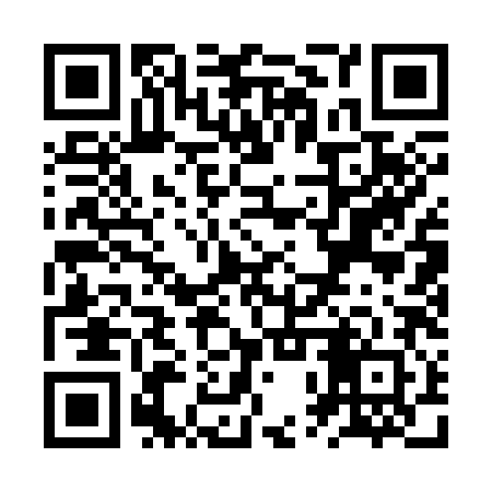 QR code for ZPQ382