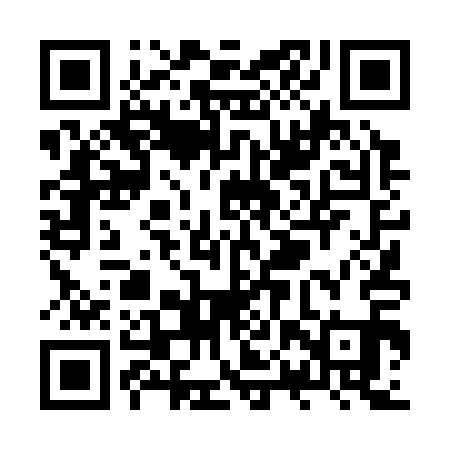 QR code for ZPT311