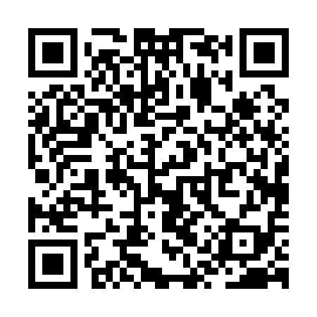 QR code for ZQP119