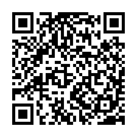 QR code for ZRR295