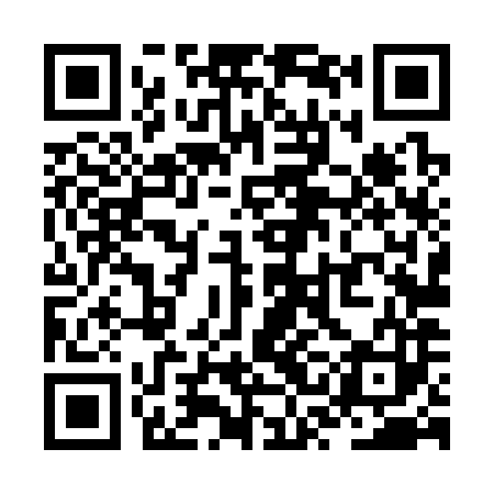 QR code for ZSL383