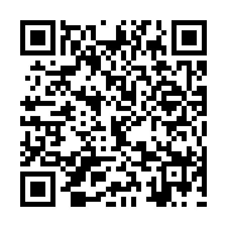 QR code for ZSM399