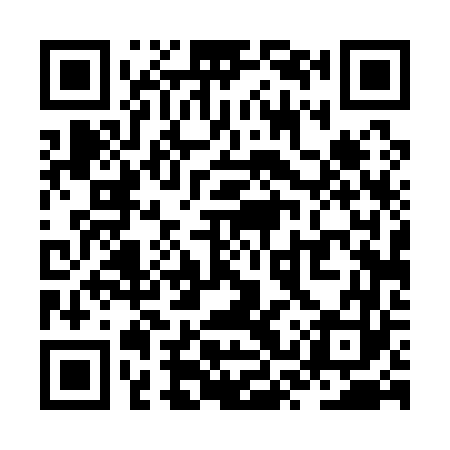 QR code for ZST163