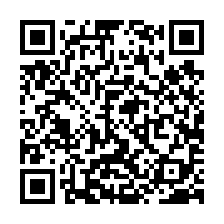 QR code for ZST699