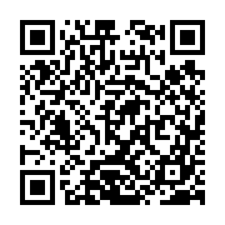 QR code for ZSV667