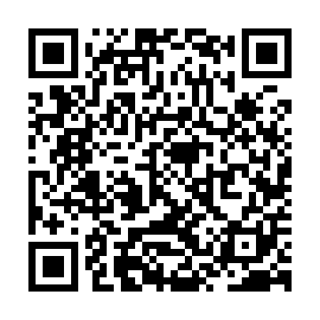 QR code for ZSV901