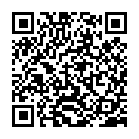 QR code for ZSY409