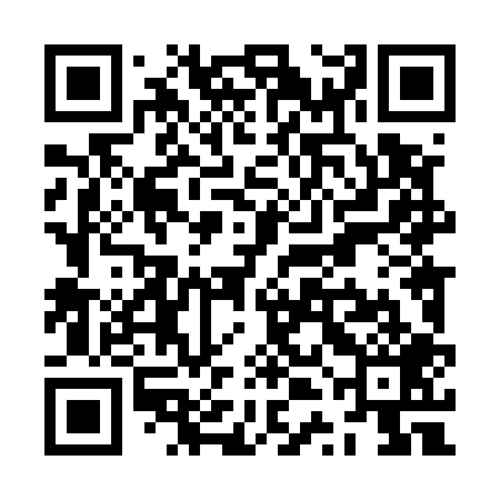 QR code for ZTL509