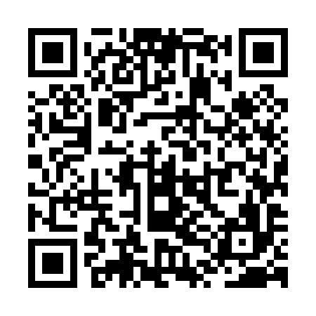 QR code for ZTM096