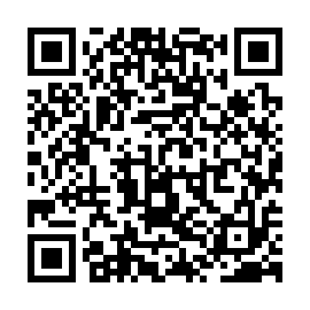 QR code for ZTM313
