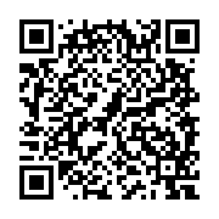 QR code for ZTN597