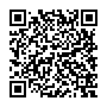 QR code for ZTN928