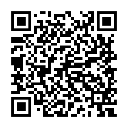 QR code for ZTP993