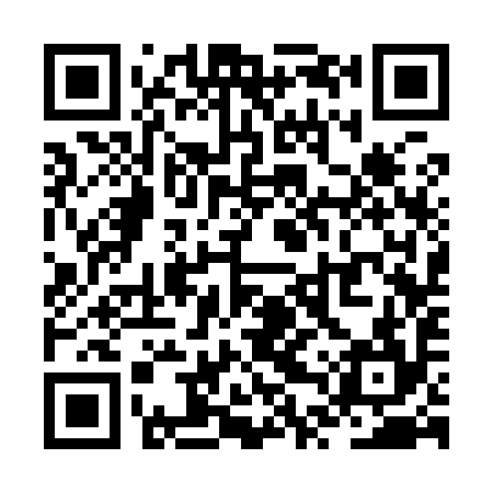 QR code for ZTS994
