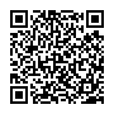 QR code for ZTT637