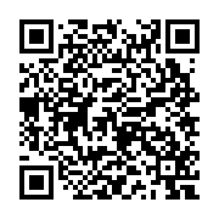 QR code for ZTZ317