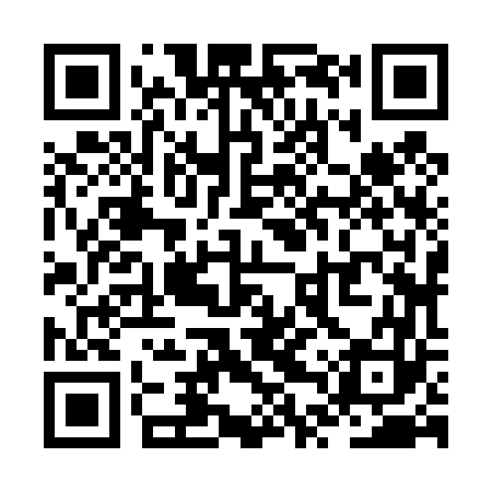 QR code for ZTZ463
