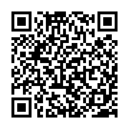 QR code for ZUA595