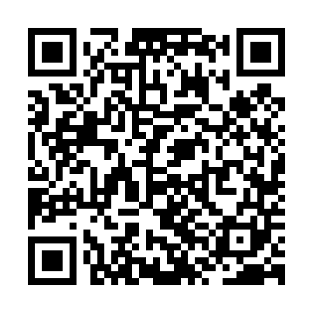 QR code for ZVF441