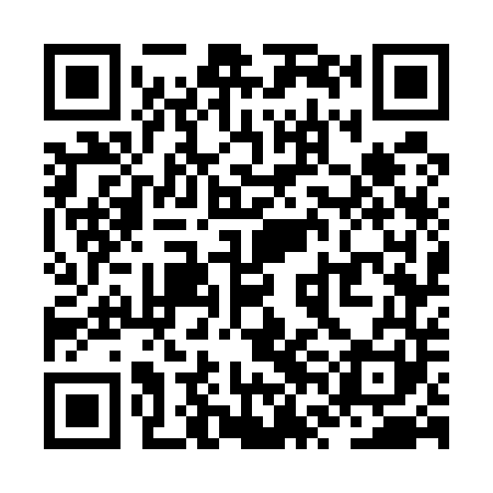 QR code for ZVG541
