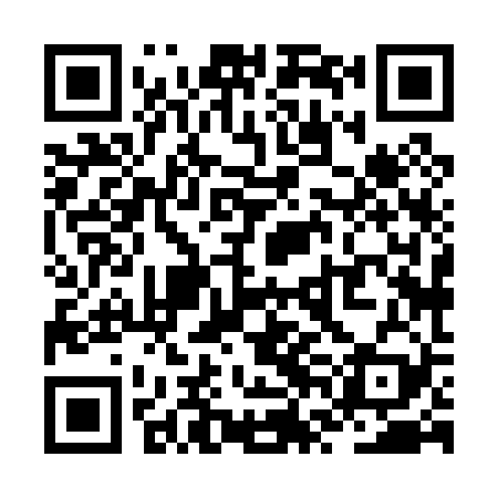 QR code for ZVH029