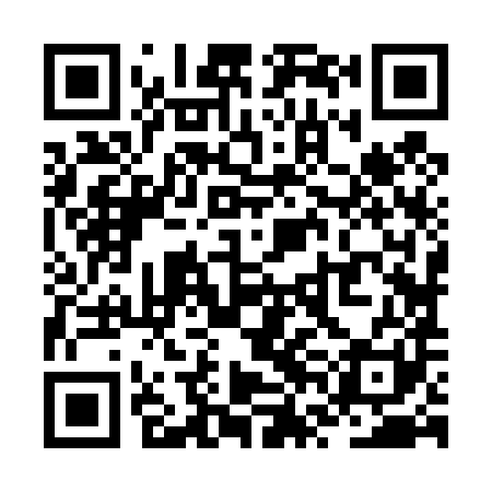QR code for ZVJ481