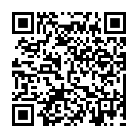 QR code for ZVR295