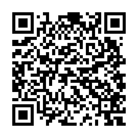 QR code for ZVV609