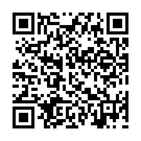 QR code for ZVX374