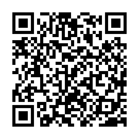 QR code for ZWH219