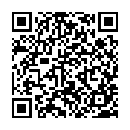 QR code for ZWO384