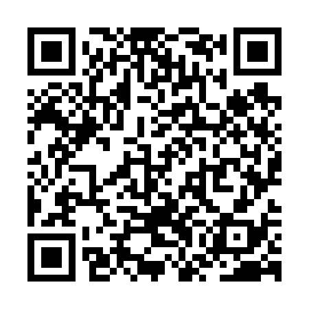 QR code for ZWO638