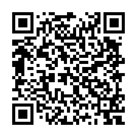 QR code for ZWY491
