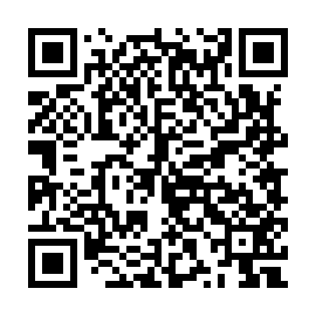 QR code for ZXD953