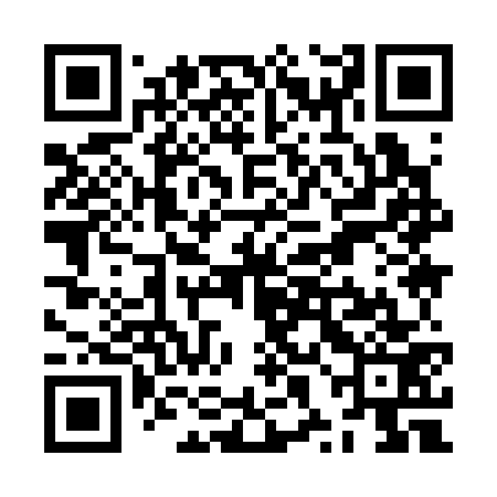 QR code for ZXI373