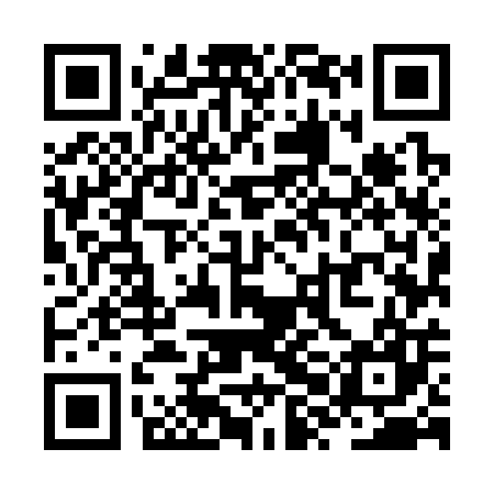 QR code for ZXM307
