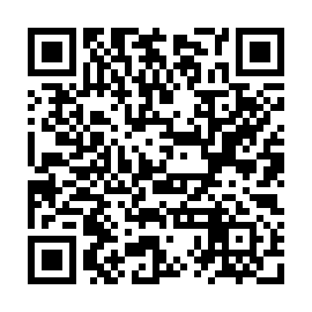 QR code for ZXN391
