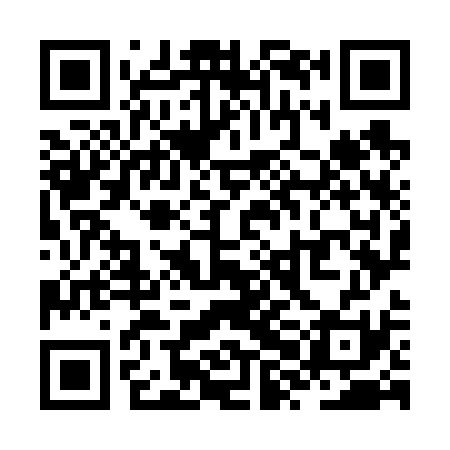 QR code for ZXO631