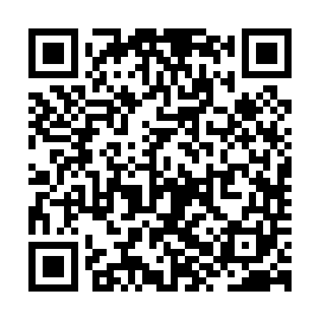 QR code for ZXR041