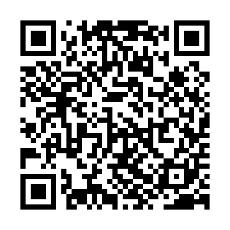 QR code for ZXS101