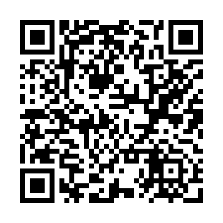 QR code for ZXX953