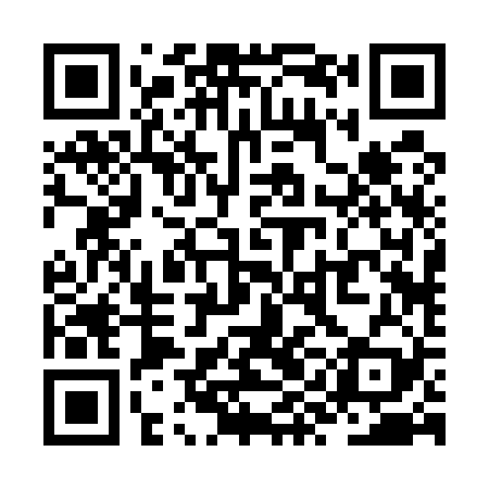 QR code for ZYB529