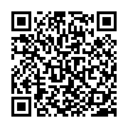 QR code for ZYE029
