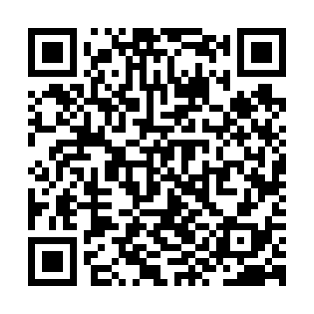 QR code for ZYF638