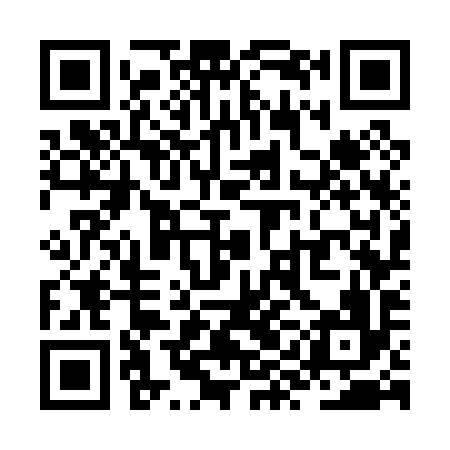 QR code for ZYG096