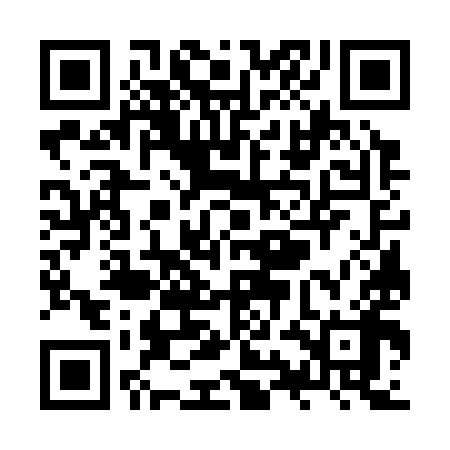 QR code for ZYG398