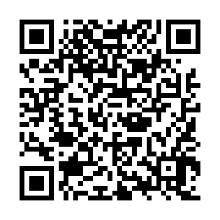 QR code for ZYL406
